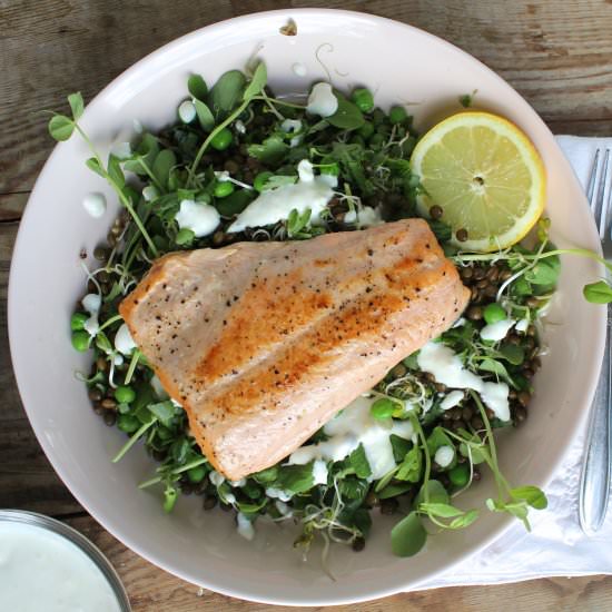 Greens, Salmon & Horseradish Salad