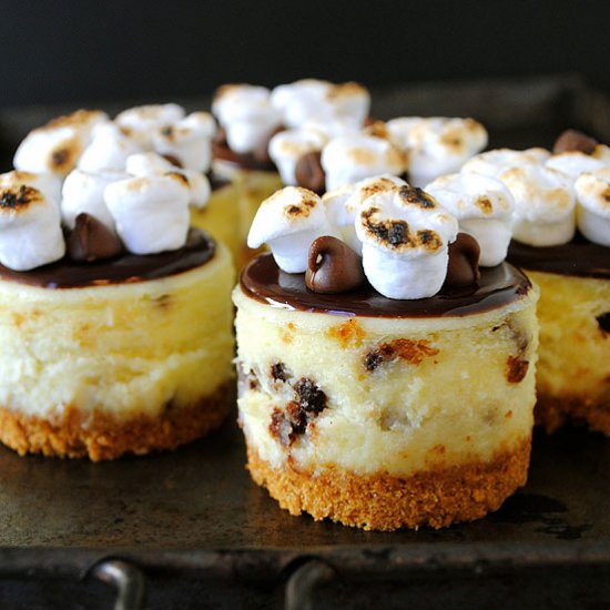 S’mores Mini Cheesecakes