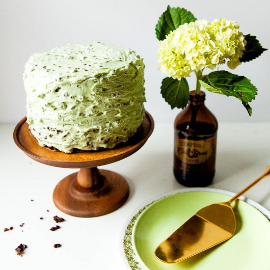 Mint Chip Chocolate Cake