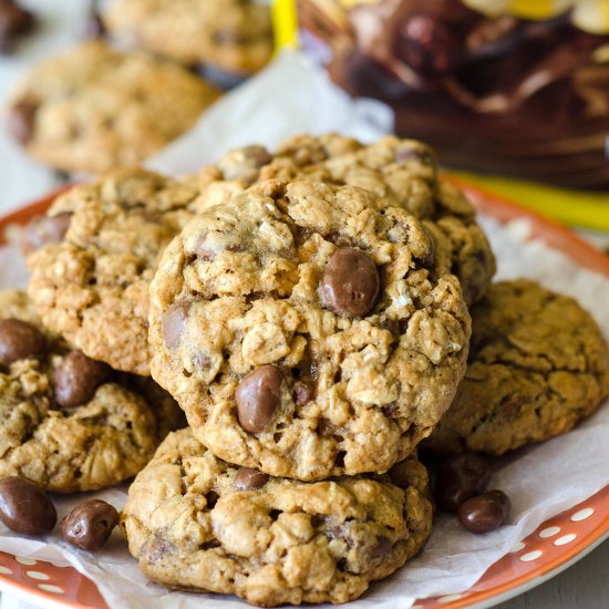 Oatmeal Raisinet Cookies