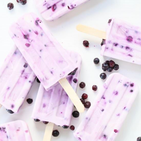 Frozen Yogurt Blueberry Popsicles