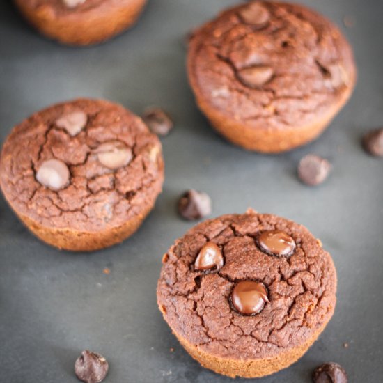 Chocolate Coconut Flour Muffins