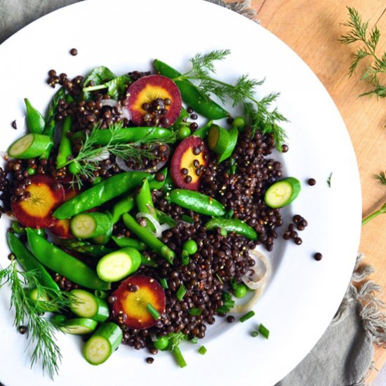 Vegan Lentil Salad