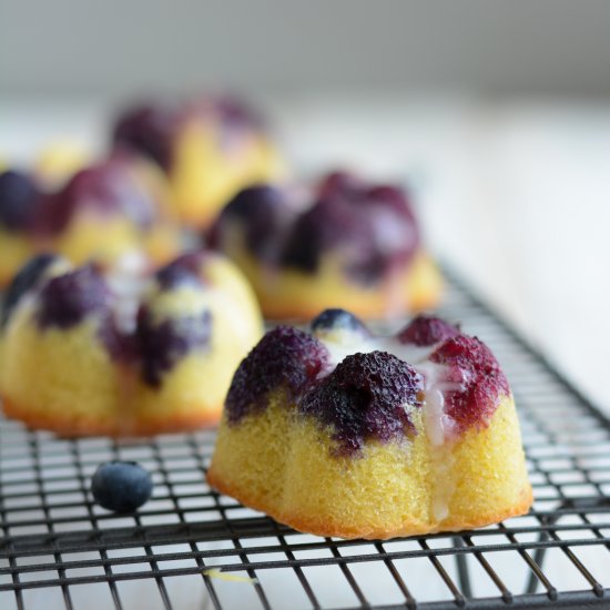 Almond and Blueberries Cakes