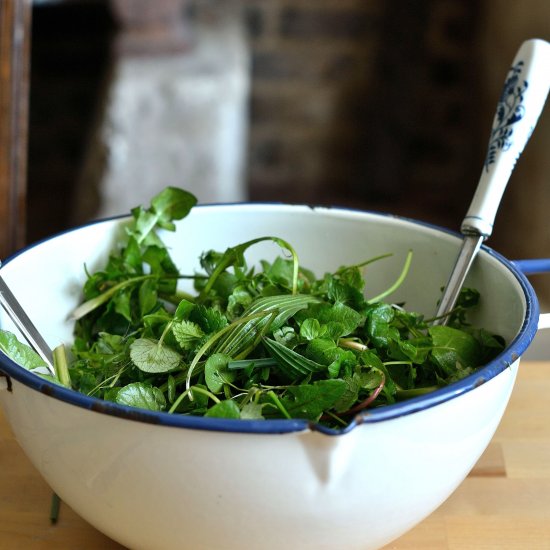 Spring Mesclun (French Salad Mix)