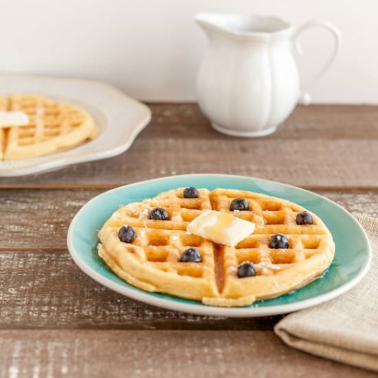 Low Carb Buttermilk Waffles