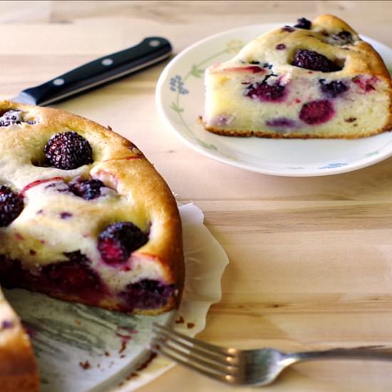 Gluten Free Blackberry Ricotta Cake