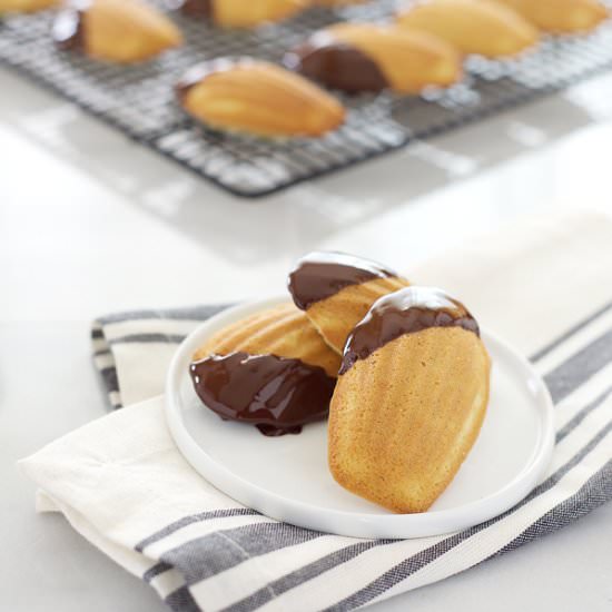 Chocolate Dipped Vanilla Madeleines