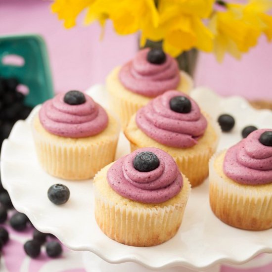 Lemon Cupcakes Blueberry Frosting