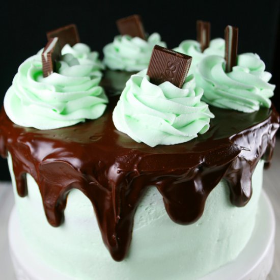 Flourless Chocolate Mint Layer Cake