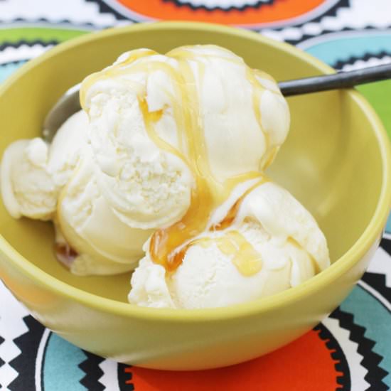 Greek Frozen Yogurt Sorbet