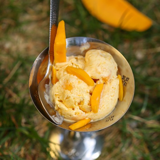 Mango Ice Cream