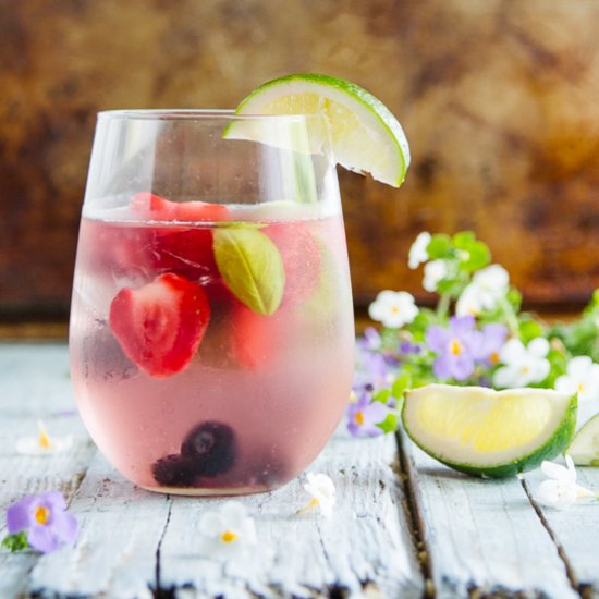 Fruity Wine Spritzer