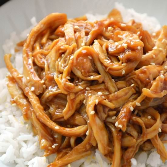 Crock Pot Teriyaki Chicken