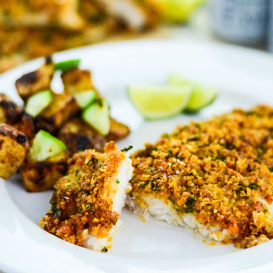 Spicy Parmesan Crusted Baked Fish