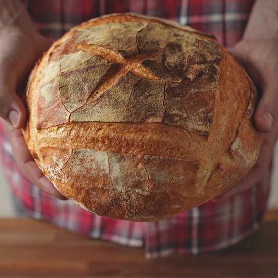 Quick White Bread Loaf