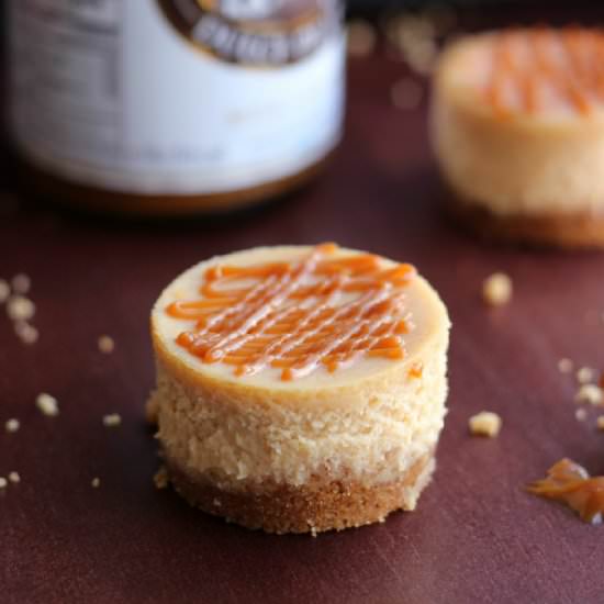 Dulce de Leche Mini Cheesecakes