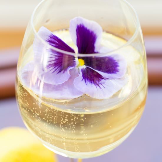 Elderflower Champagne Cocktail