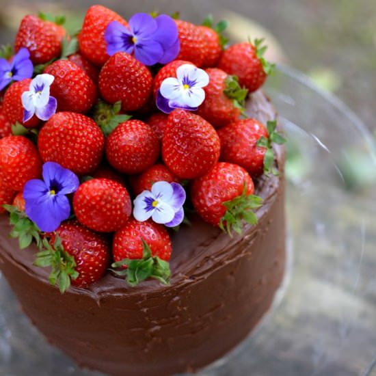 Devil’s Food Cake with Strawberries