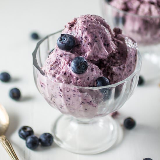 Blueberry Frozen Yogurt