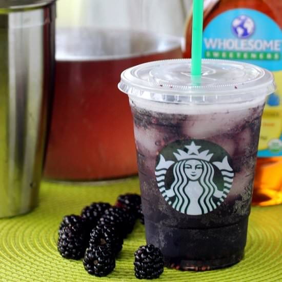 (Copycat) Berry Hibiscus Refresher