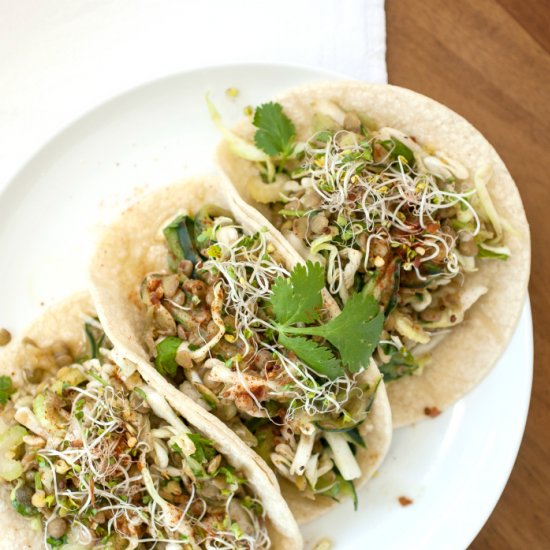 Lentil Salad w/ Cucumber & Cabbage