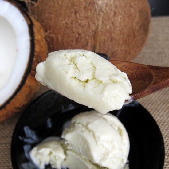 Dairy-Free Coconut Milk Ice-Cream