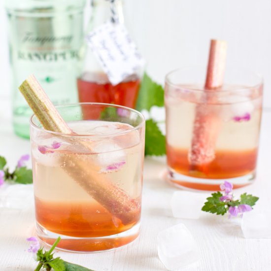 Rhubarb Gin Fizz