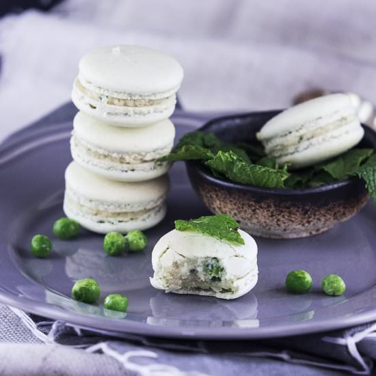 Mint Green Peas French Macarons