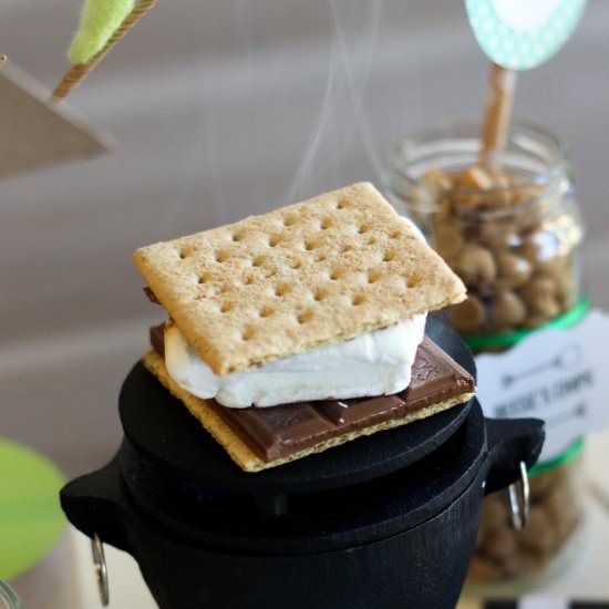 Cinnamon Roasted Almond S’mores