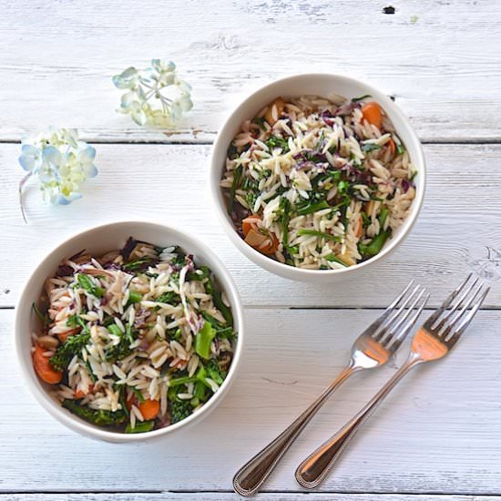 Orzo with Radicchio and Broccolini