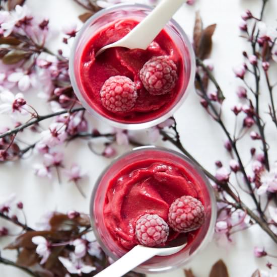 Simple Raspberry Sorbet