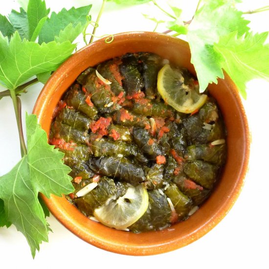 Stuffed Grape Leaves