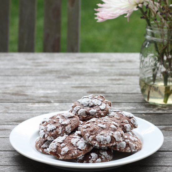 Chocolate Muscat Cookies