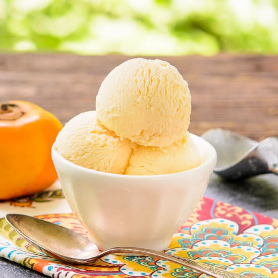 Persimmon Gelato