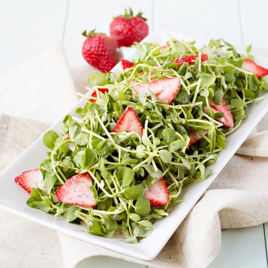 Pea Shoot and Strawberry Salad