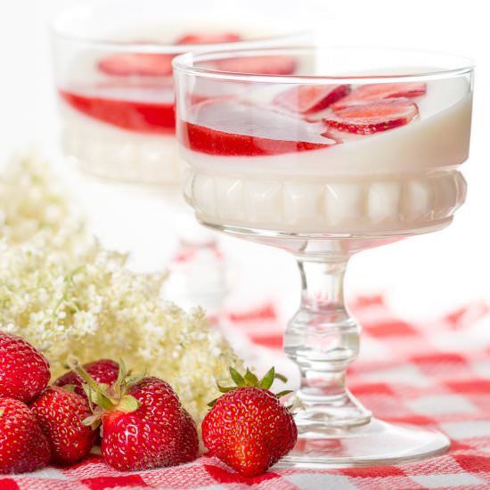 Elderflower Yogurt Panna Cotta