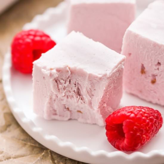 Healthy Raspberry Coconut Fudge