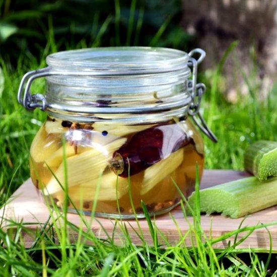 Rhubarb Pickles