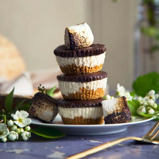 Vegan S’mores Cheesecake