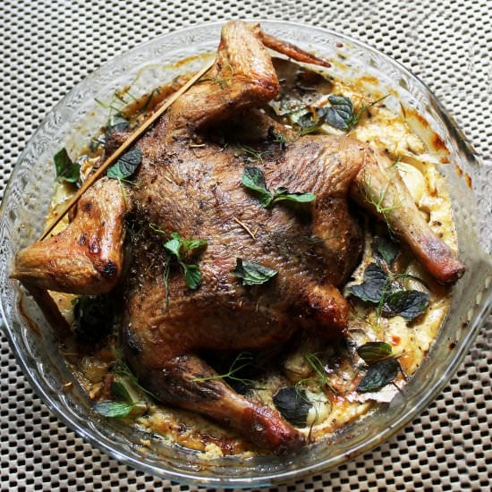 Roasted Chicken in Yogurt Milk Curd