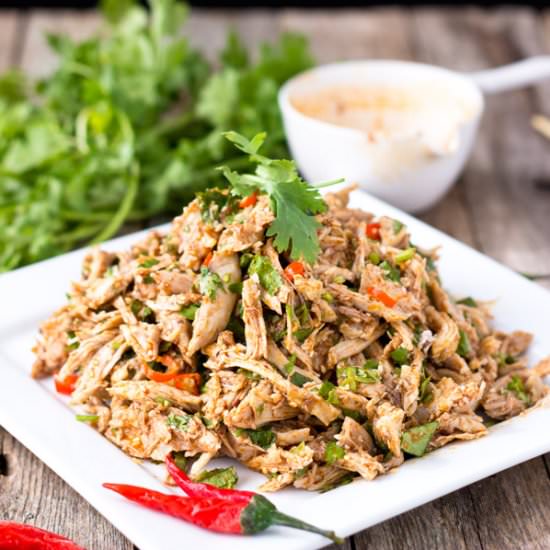 Sichuan Style Spicy Chicken Salad