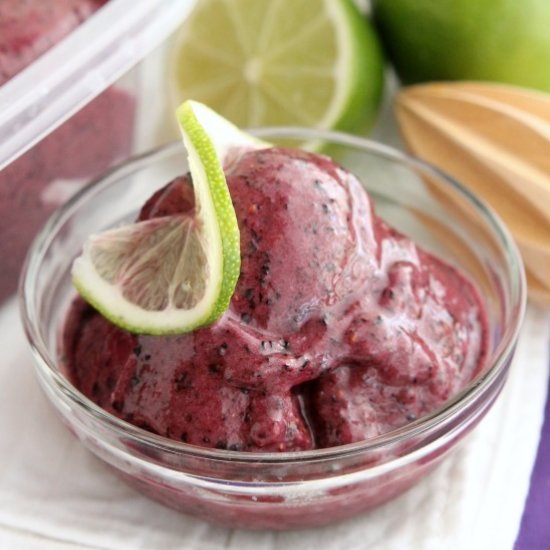 Instant Blueberry Frozen Yogurt