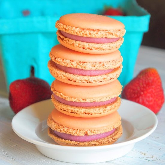 Berries Macarons