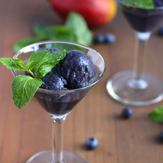 Blueberry Mango Mint Sorbet