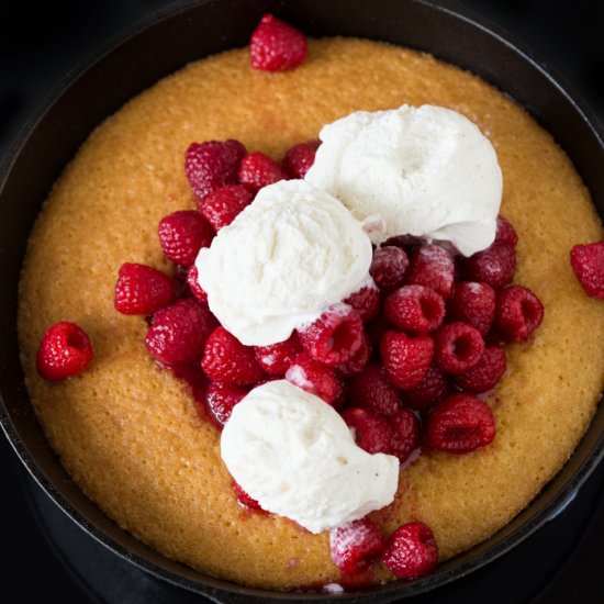 Hot Raspberry Cake and Ice Cream