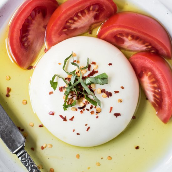 Homemade Mozzarella