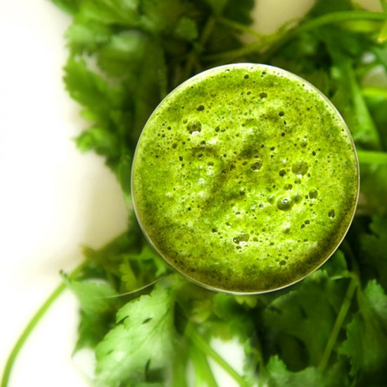 Cilantro Chutney