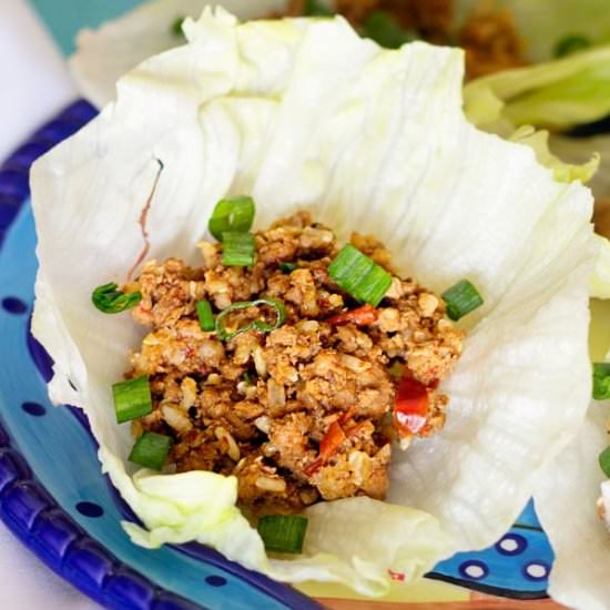 Asian Turkey Lettuce Wraps