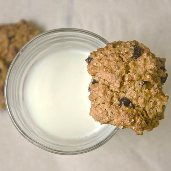 Delicious Lactation Cookies